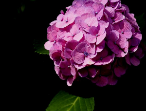 2024 장마 예상 기간 분석