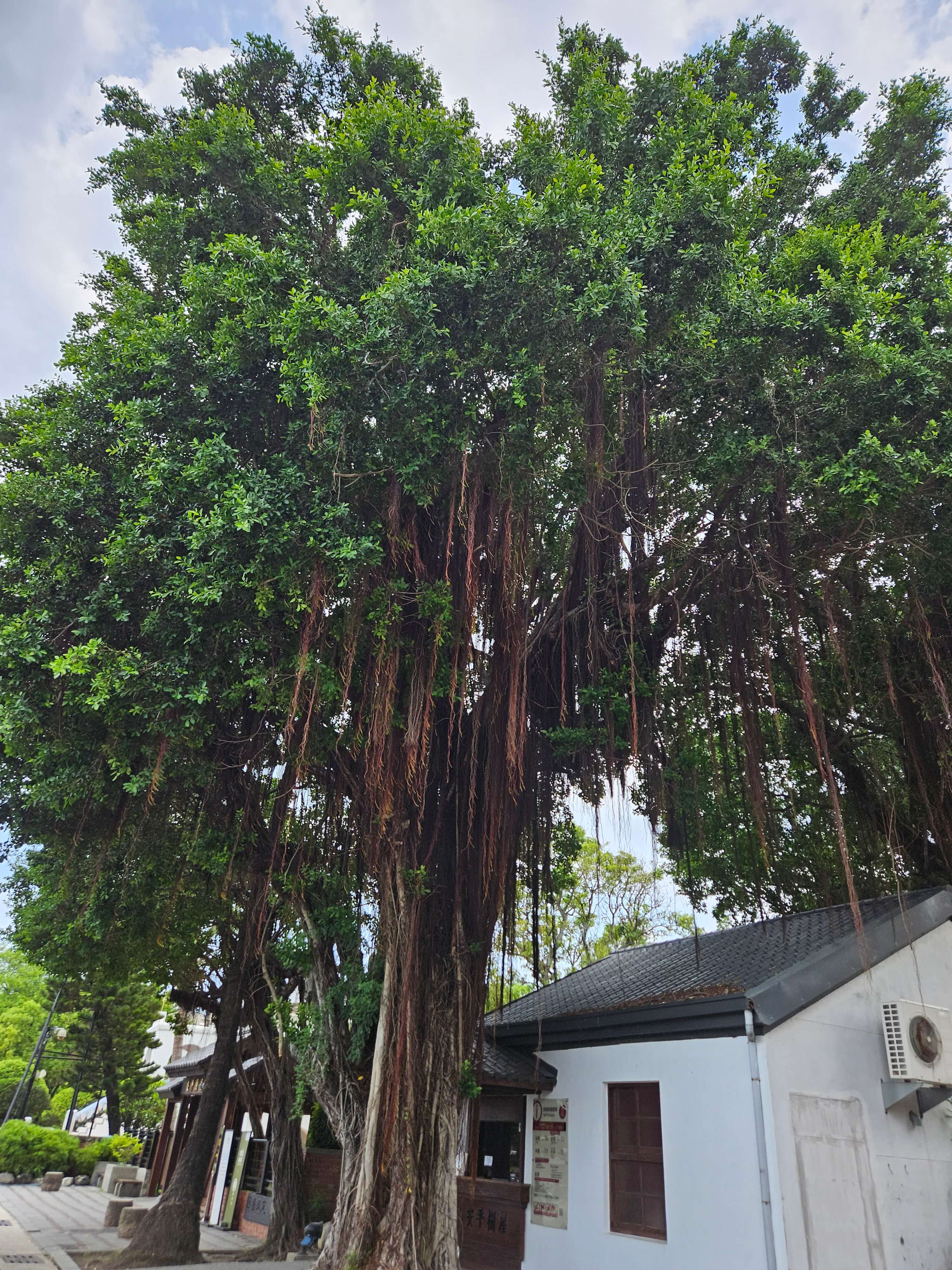 타이난 첫날 &#124; THSR 이동 · 택시 박물관투어 · 巷丼食堂 · 疆疆串燒烤肉專賣店 리얼후기