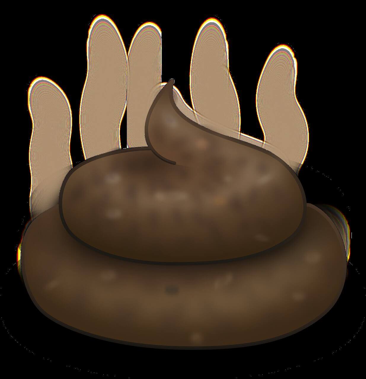 똥 꿈해몽