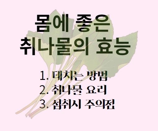 취나물의 효능