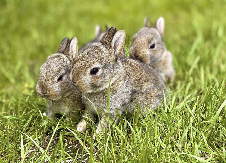 2026년 띠별 연애운 총정리