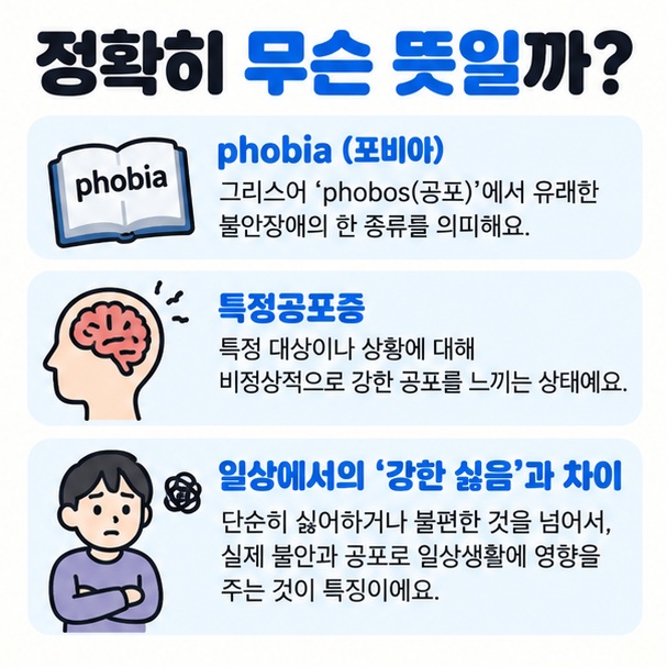 포비아 특정공포증 일상적 표현의 의미 차이를 비교한 이미지