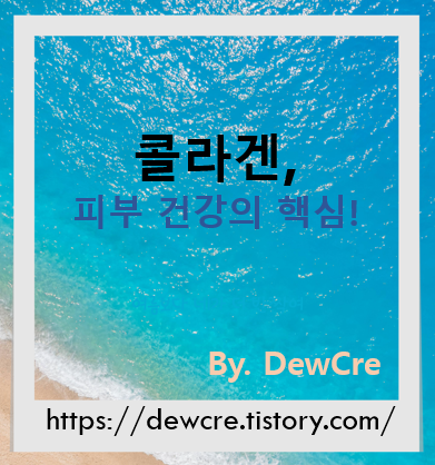 탱탱하고 생기있는 피부를 위한 콜라겐 식품 추천 7가지