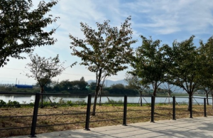 부산 차박하기 좋은 성지 TOP 5곳