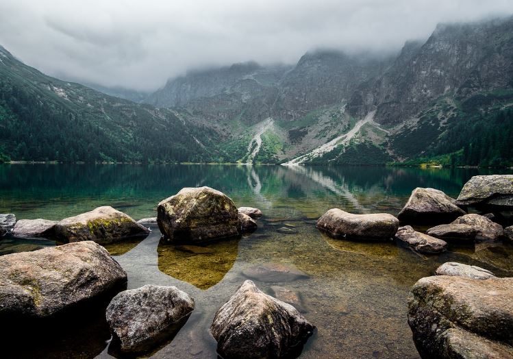 청소년 건강과 디지털 미디어 사용