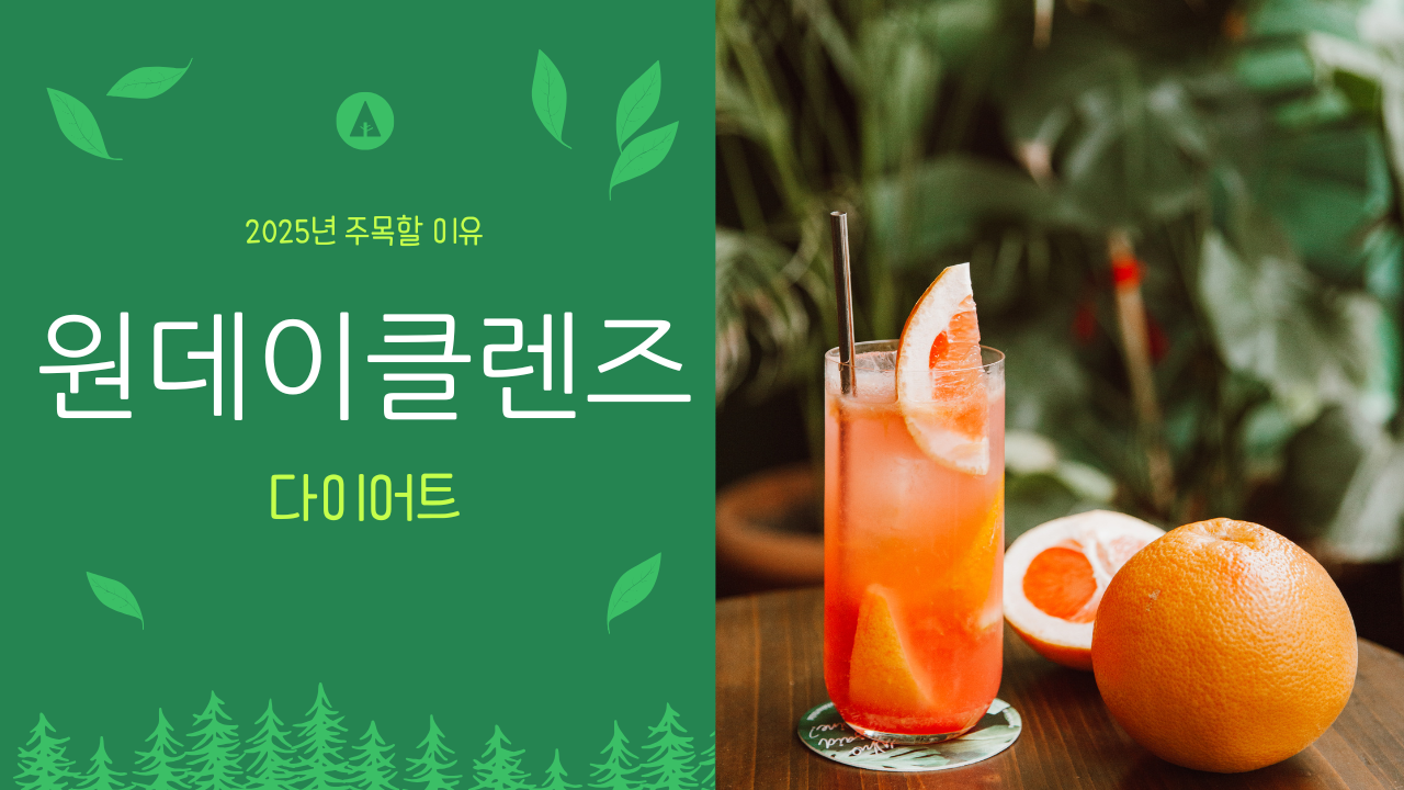 상큼한 자몽과 오렌지, 얼음을 갈아만든 주황색의 매력적인 쥬스와 신선한 과일들의 모습.