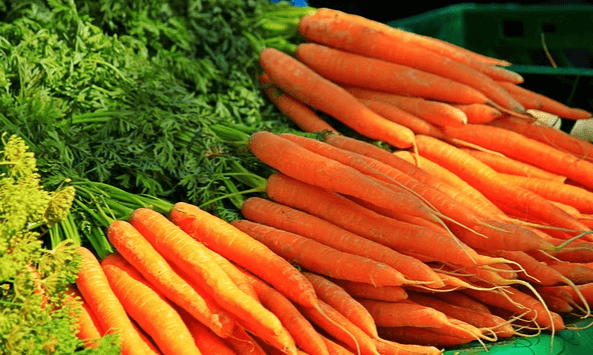 기다랗고 날씬한 당근 수십개가 가지런히 가판대 위에 놓여있고 꼭지와 줄기는 푸르고 싱싱하다.