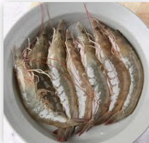 대하의 효능