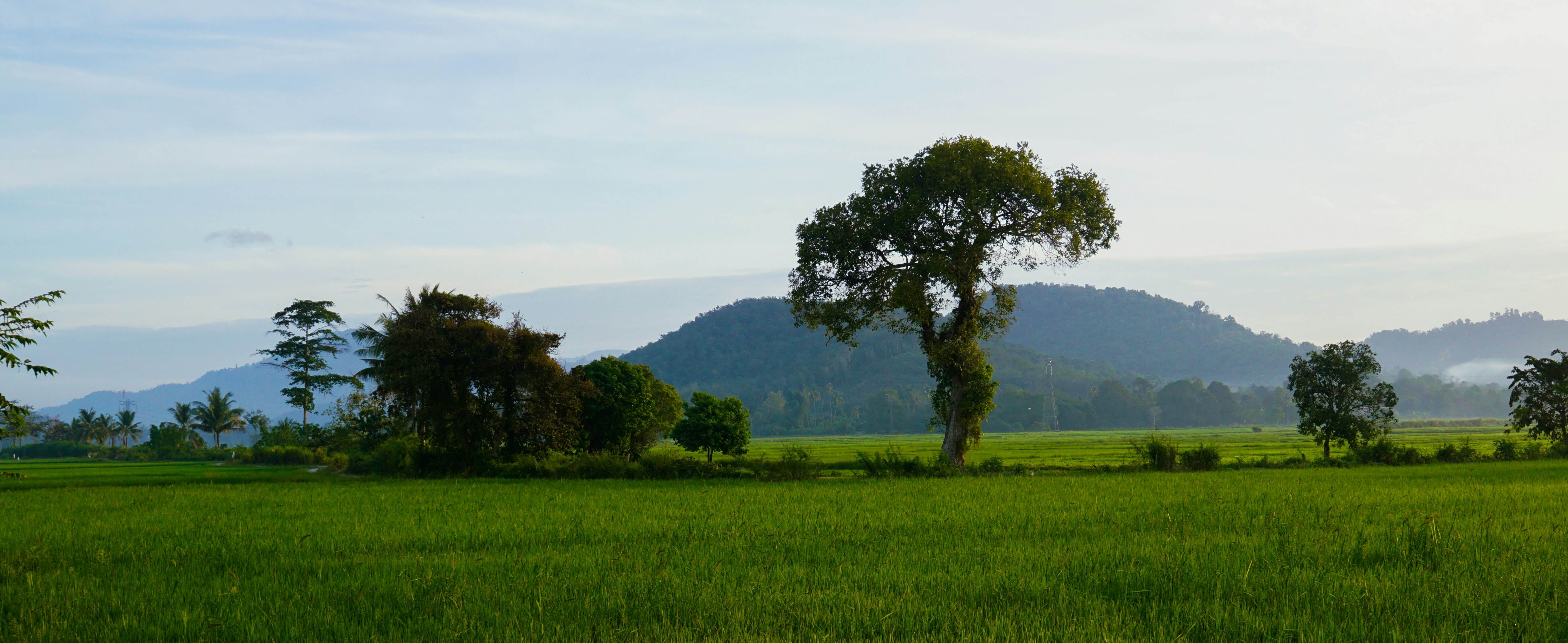 조상 땅 찾기 총정리