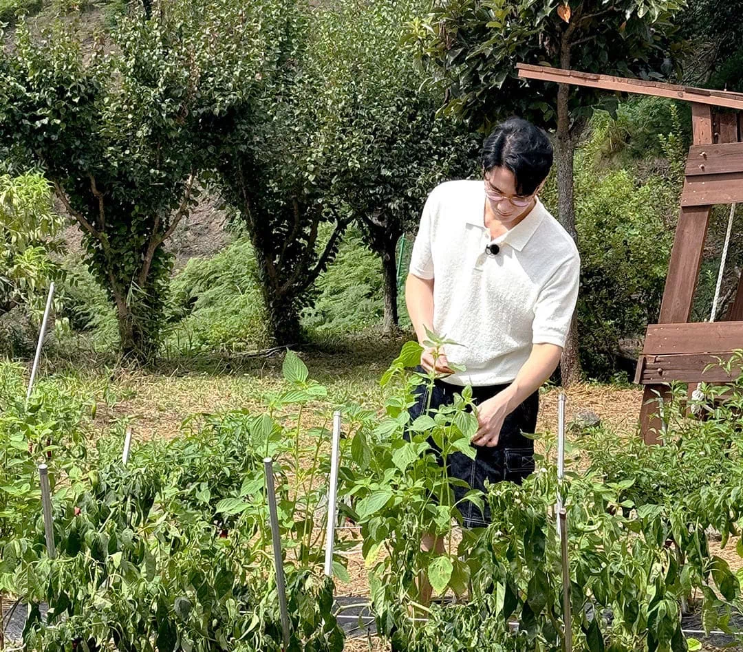 엄태구 삼시세끼 출연 반응