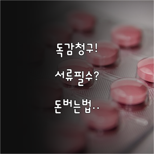 A형 독감 치료비 실비 청구 필수 서..