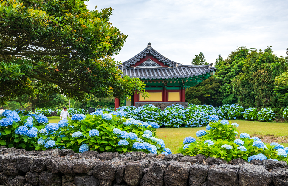제주 동쪽 가볼만한곳 (혼인지)