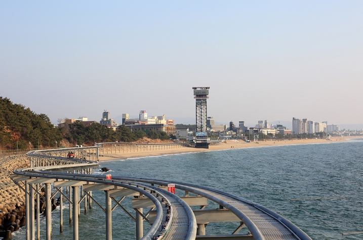 보령