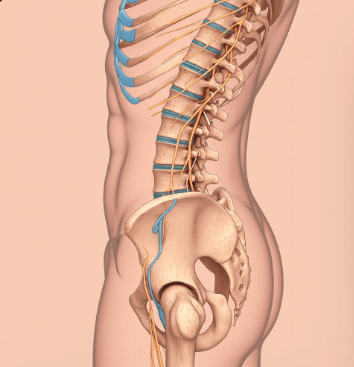 척추 협착증 초기 증상 및 원인2