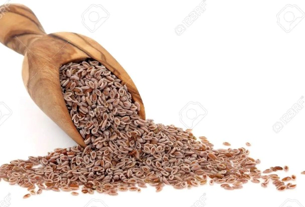 차전자피 효능 부작용