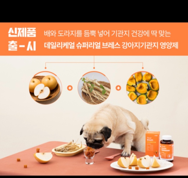 강아지 호흡기 질환 폐렴&middot;기관허탈&middot;기관지염에서 심장병으로 발달한다면?