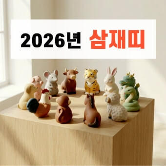 2026년 삼재띠