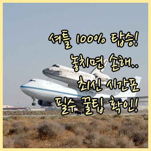 스키장 셔틀 탑승 성공률 100% 만..