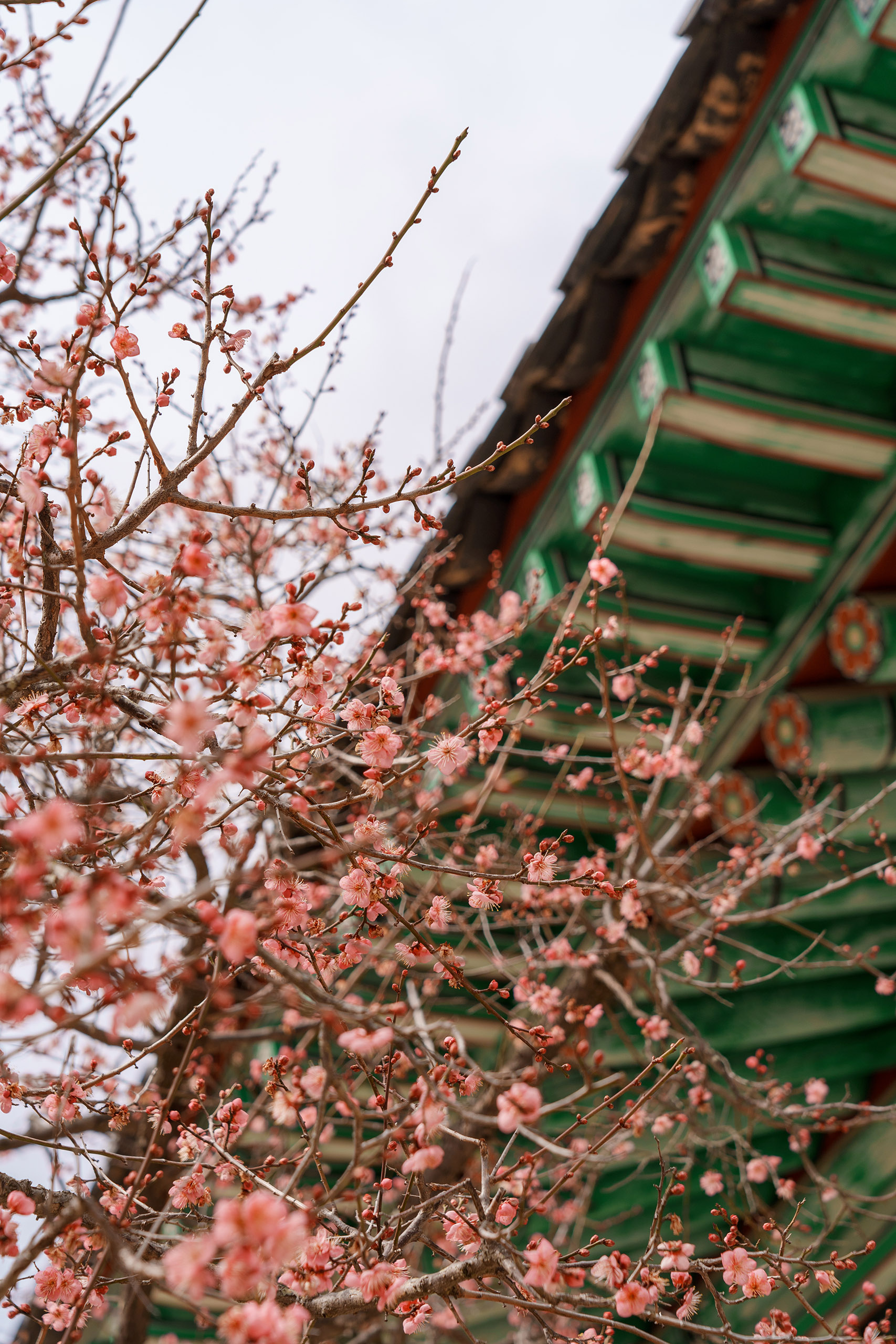 경상남도 양산 통도사