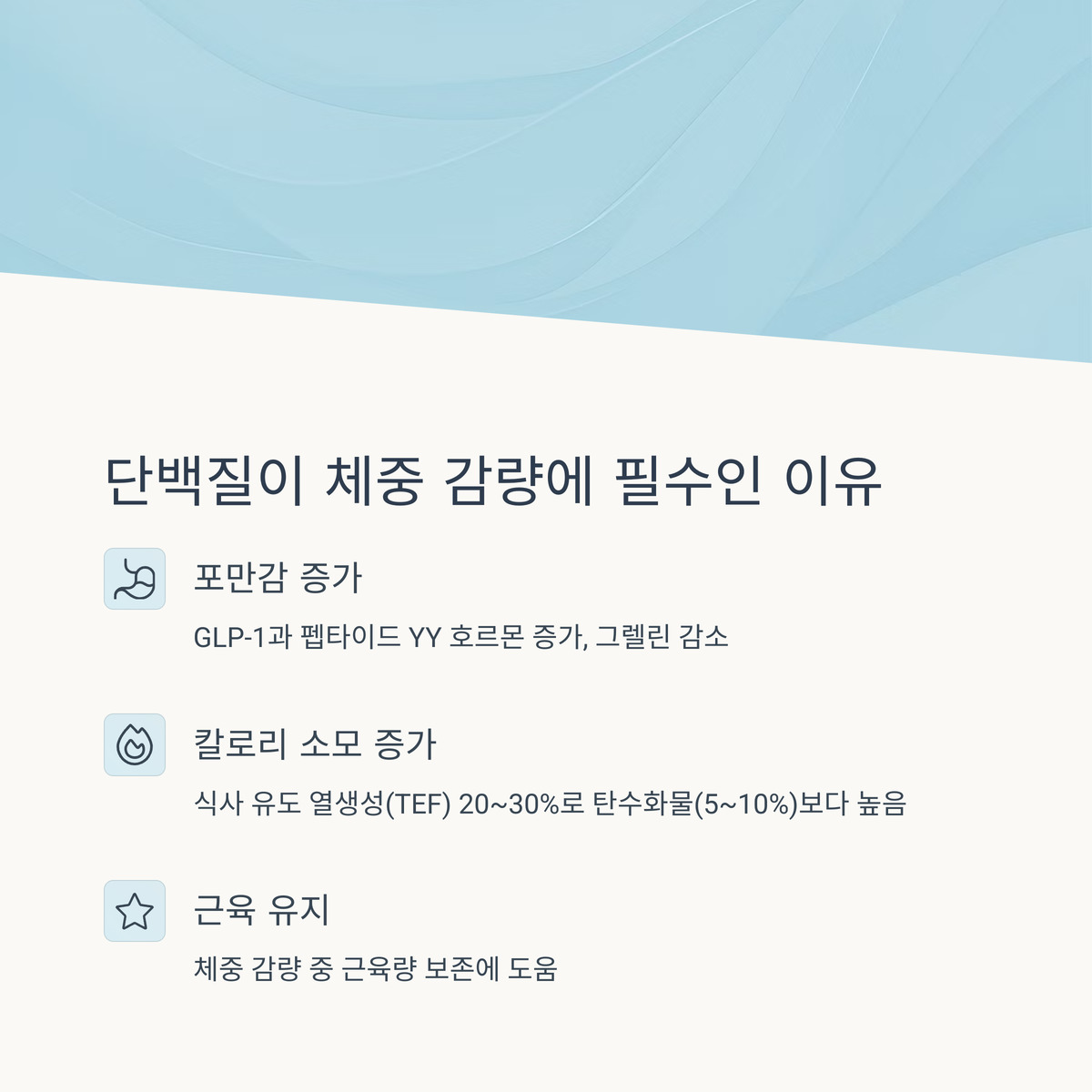 단백질이 체중 감량에 왜 중요한 걸까?