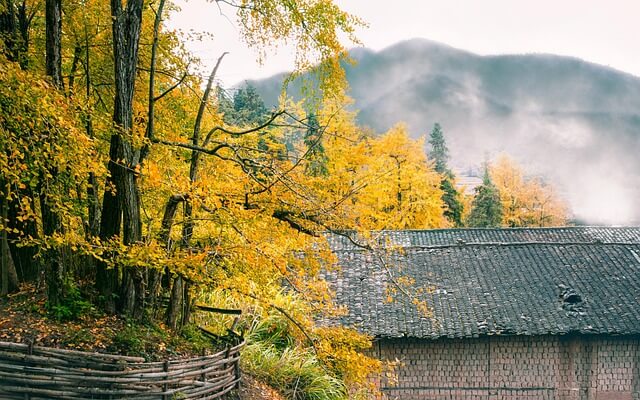 오대산 가을 단풍여행