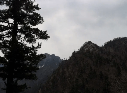 설악산 케이블카 요금 예약 및 주차장 꿀팁
