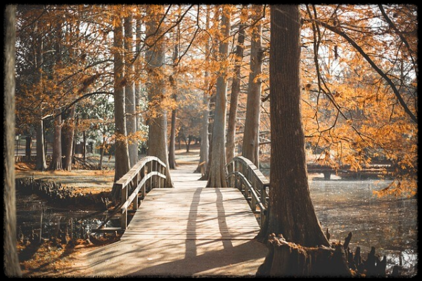 특례보금자리론