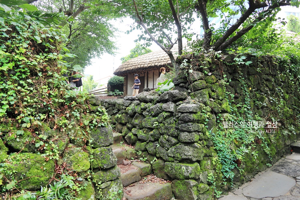 제주 노블피아호텔 주변 서귀포 가볼만한곳 BEST 10 