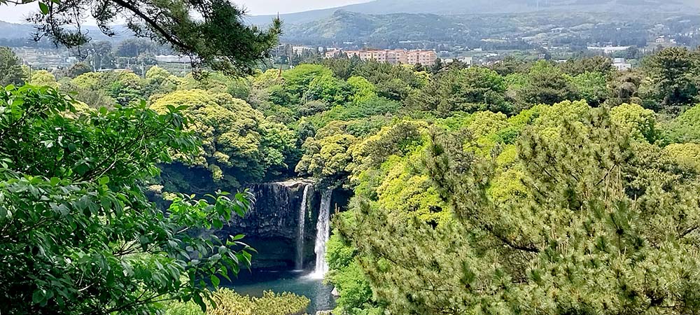 동홍동 아니 서홍동 칠십리공원