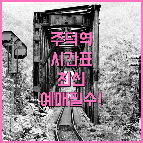 충주 주덕역 무궁화호 시간표와 실시간..