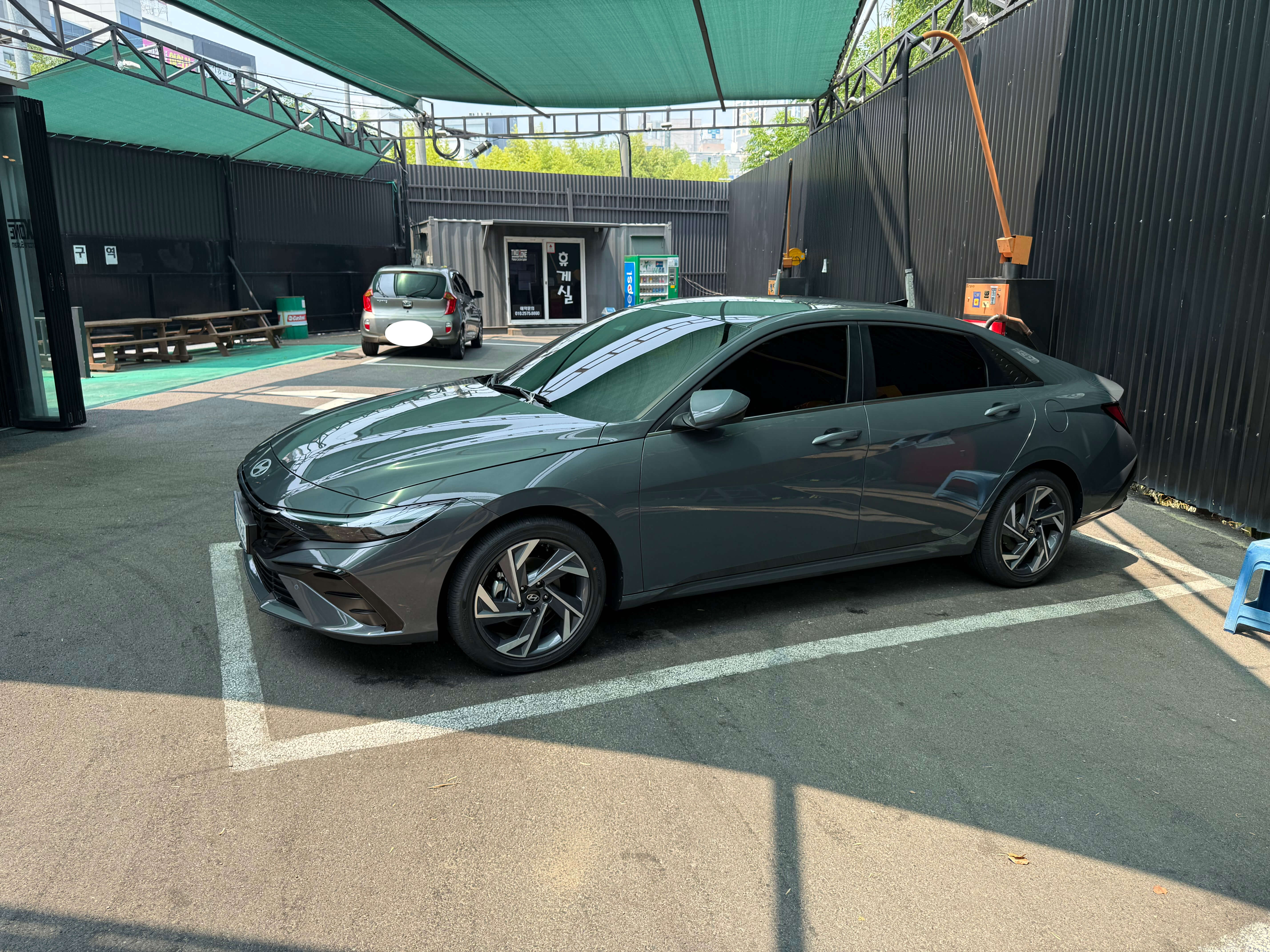 에코트로닉 그레이펄