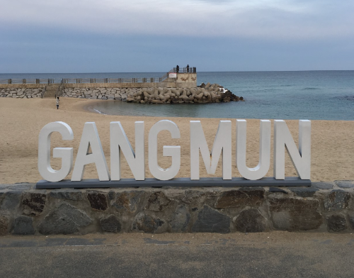 2025 강릉 경포 벚꽃축제