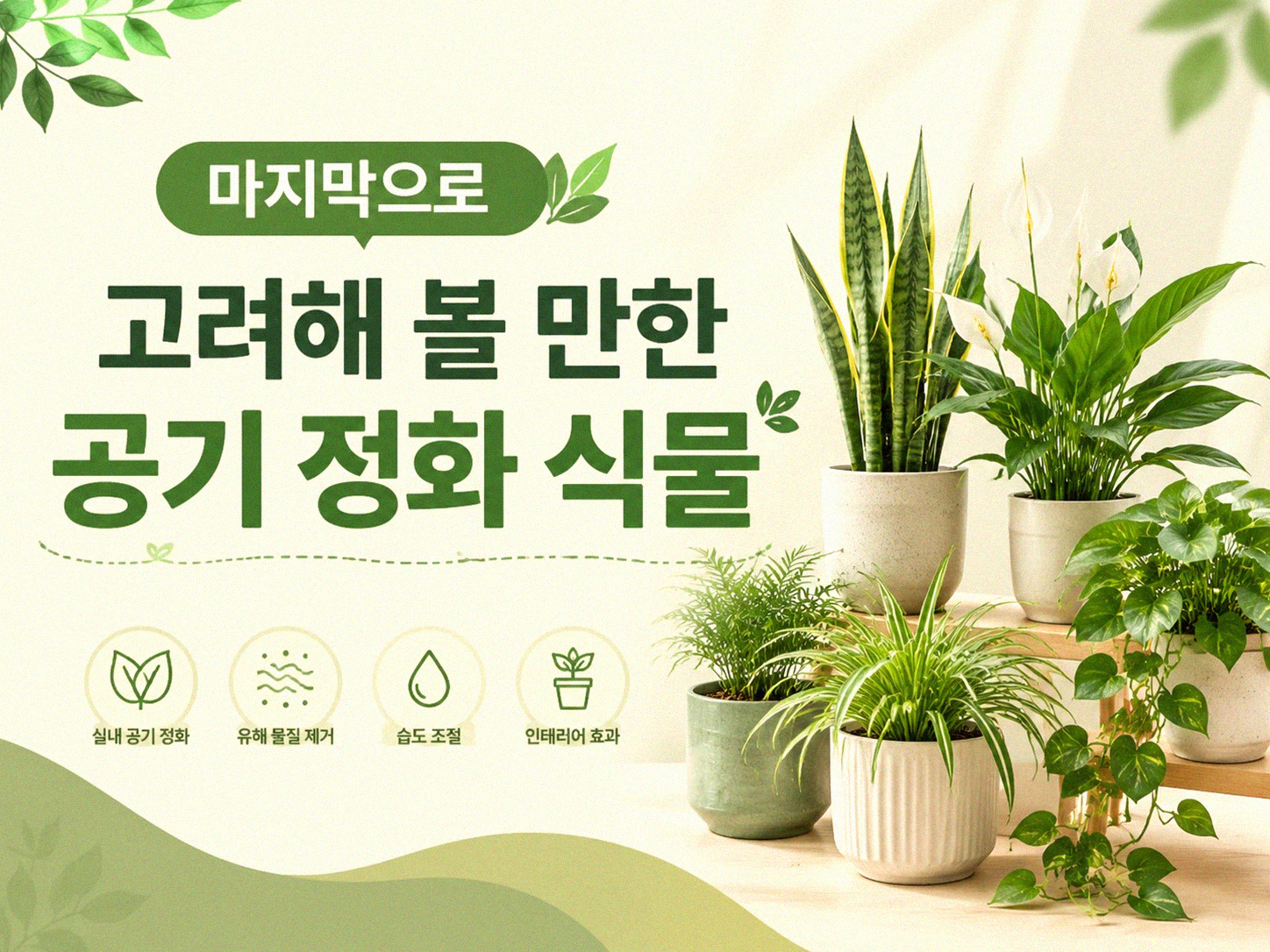 집 안 공기, 좀 더 맑게 할 식물 뭐가 있을까