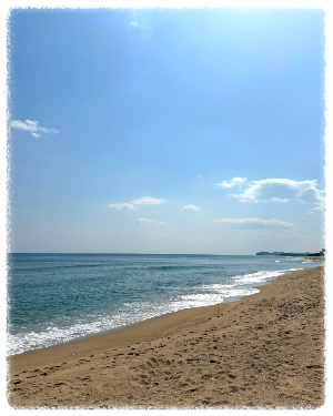 넓은 백사장과 편의시설이 잘 갖춰진 낙산해변