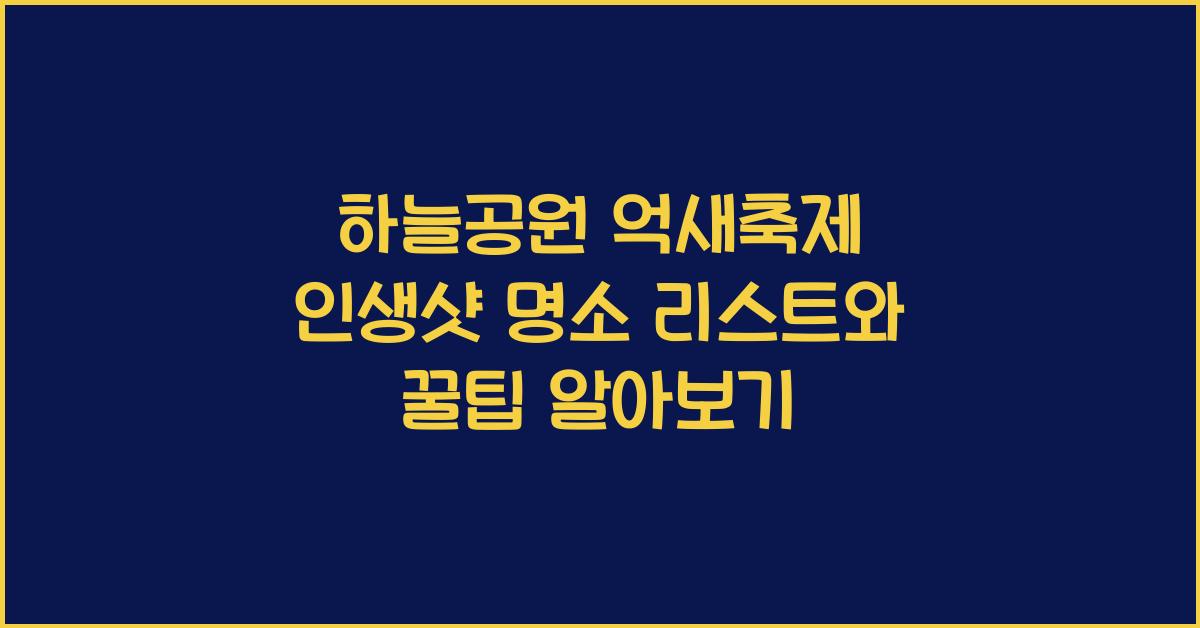 하늘공원 억새축제, 인생샷 명소 리스트
