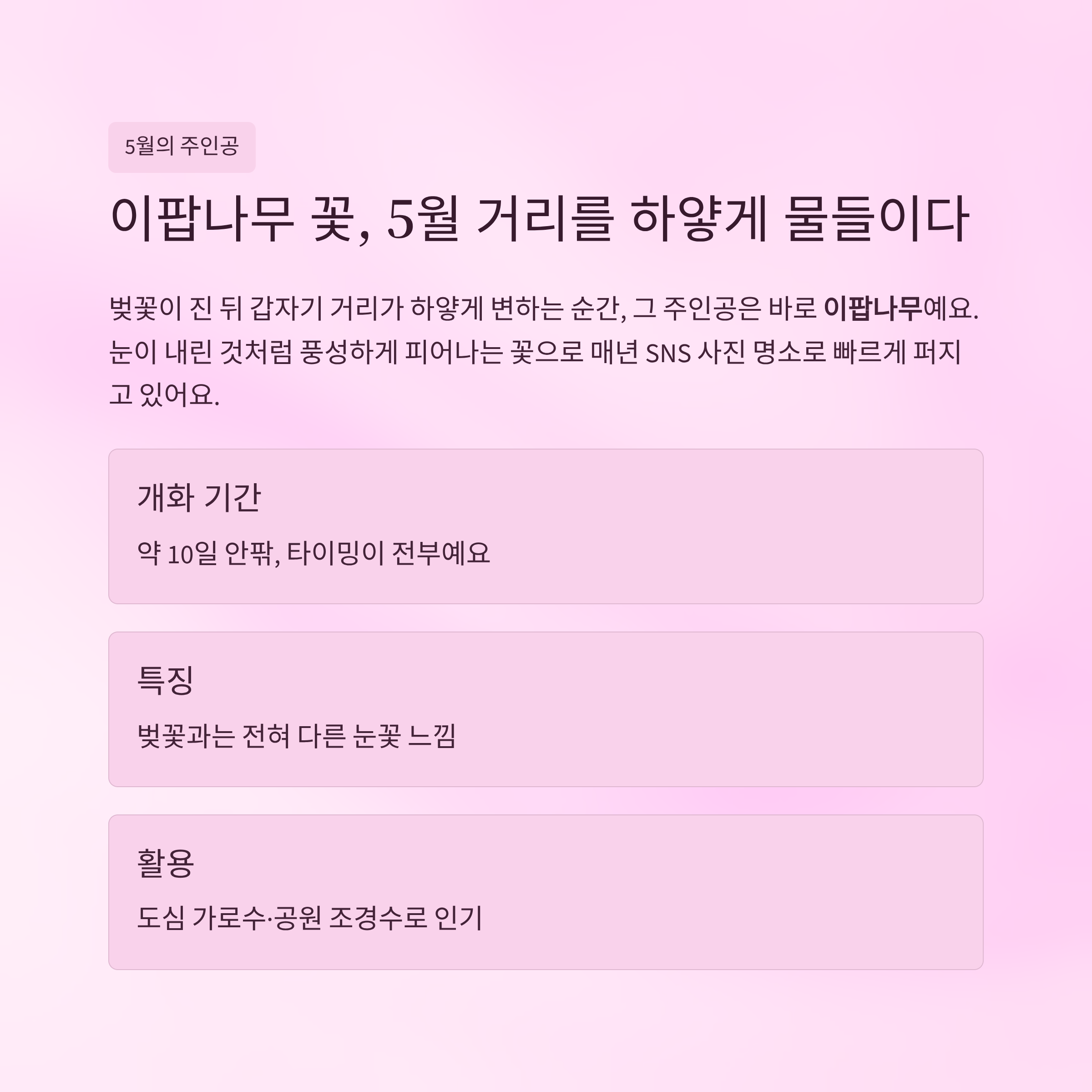 이팝나무 꽃 이름 왜 이렇게 붙었을까
