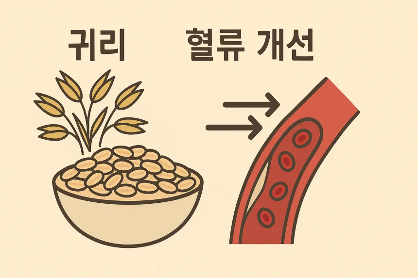 고혈압에 좋은 음식