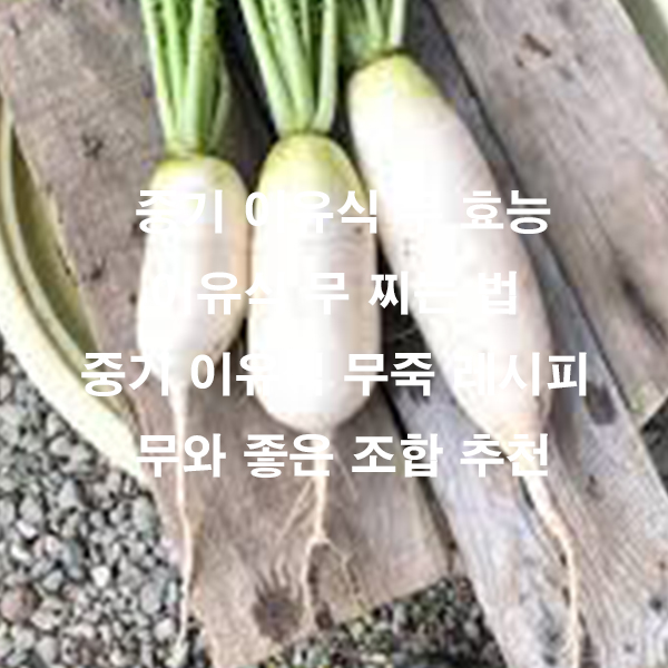 중기 이유식 무 효능 이유식 무 찌는 법 중기 이유식 무죽 레시피 무와 좋은 조합 추천