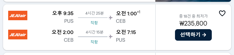 부산 세부 공동구매 항공권