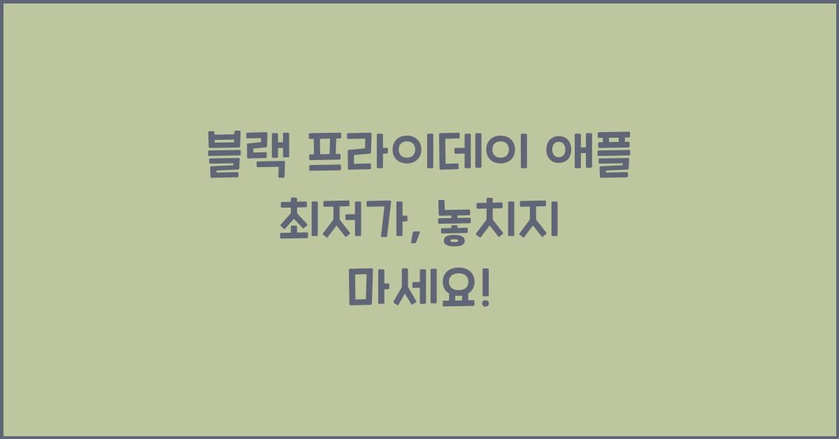 블랙 프라이데이 애플