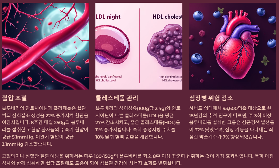 심혈관 건강개선 혈압조절