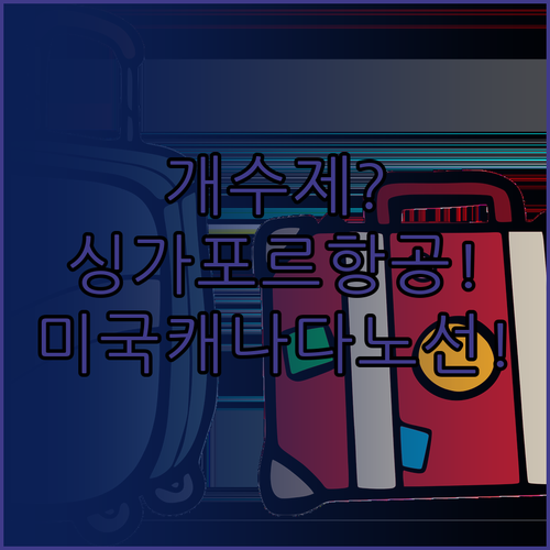 싱가포르 항공 수하물, 미국 캐나다 ..