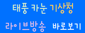6호태풍카눈 7호태풍란