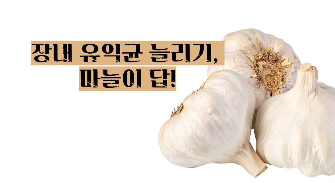 마늘 효능