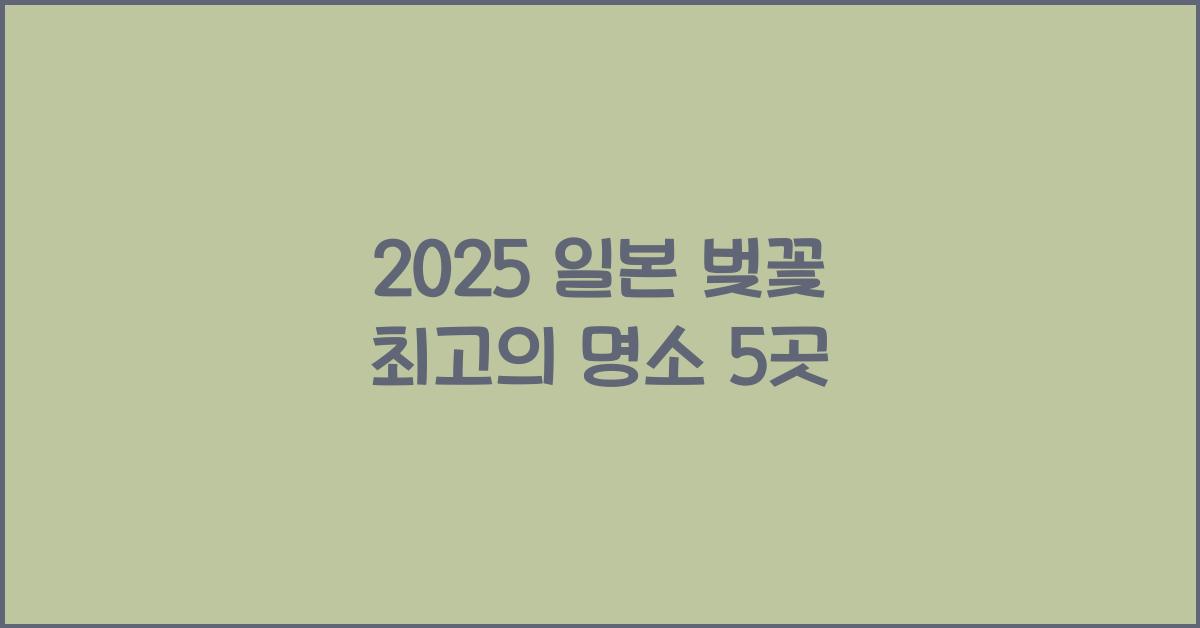 2025 일본 벚꽃