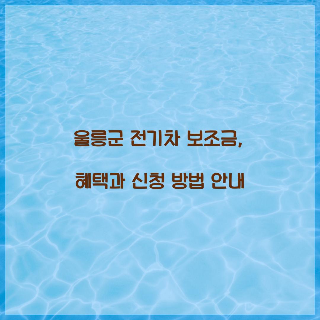 울릉군 전기차 보조금