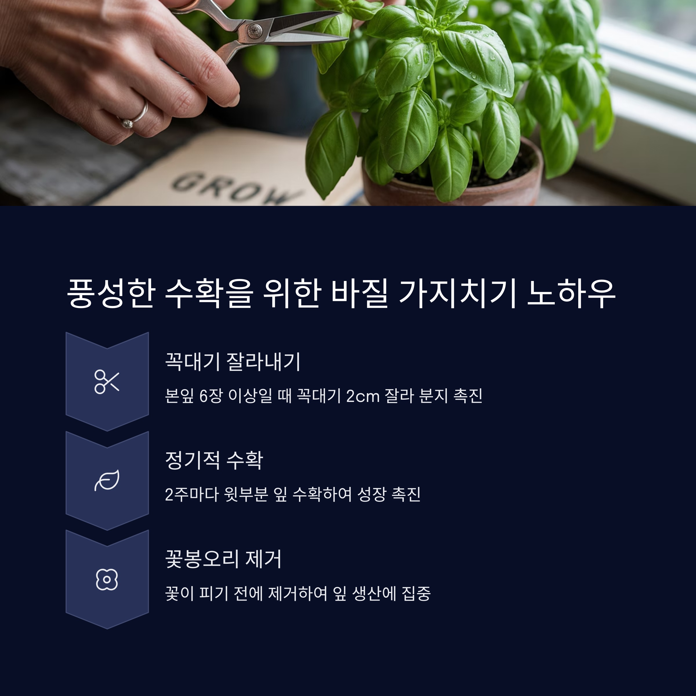 풍성한 수확을 위한 바질 가지치기 노하우