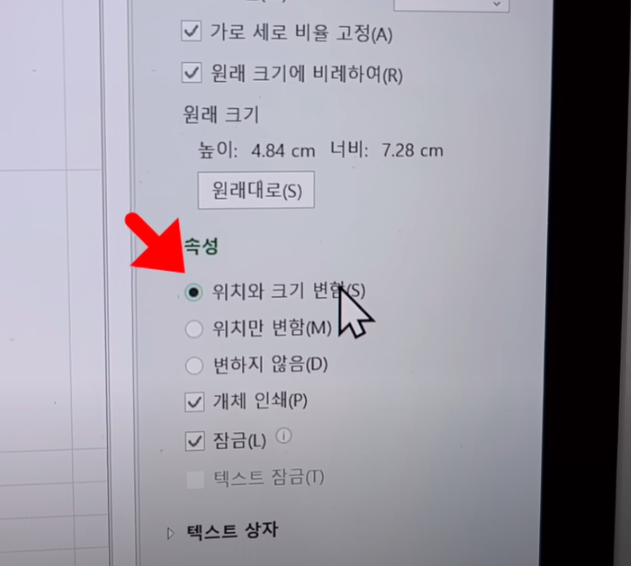 크기 및 속성