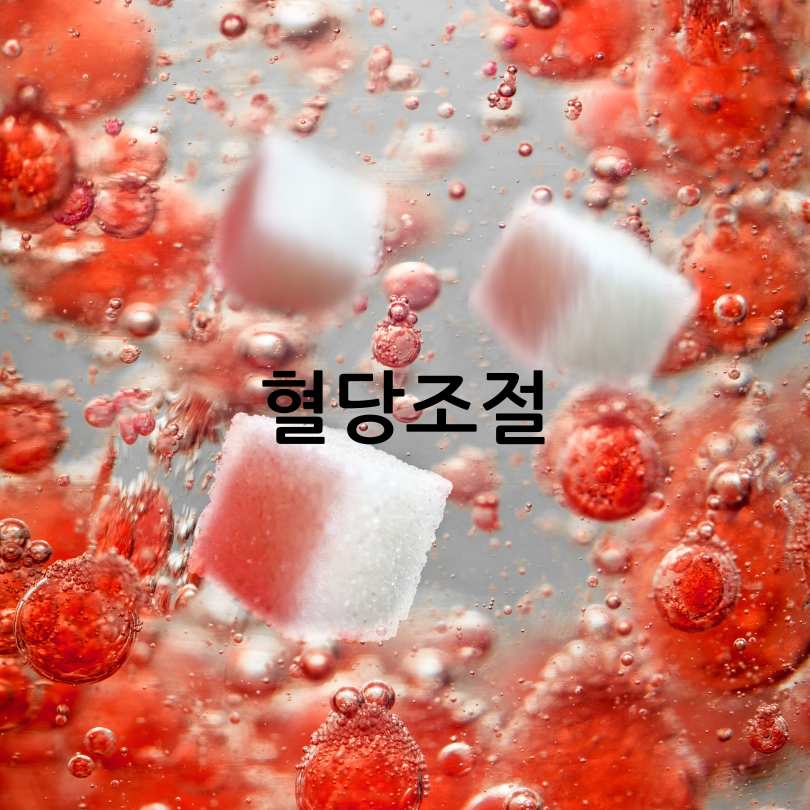 NMN영양제