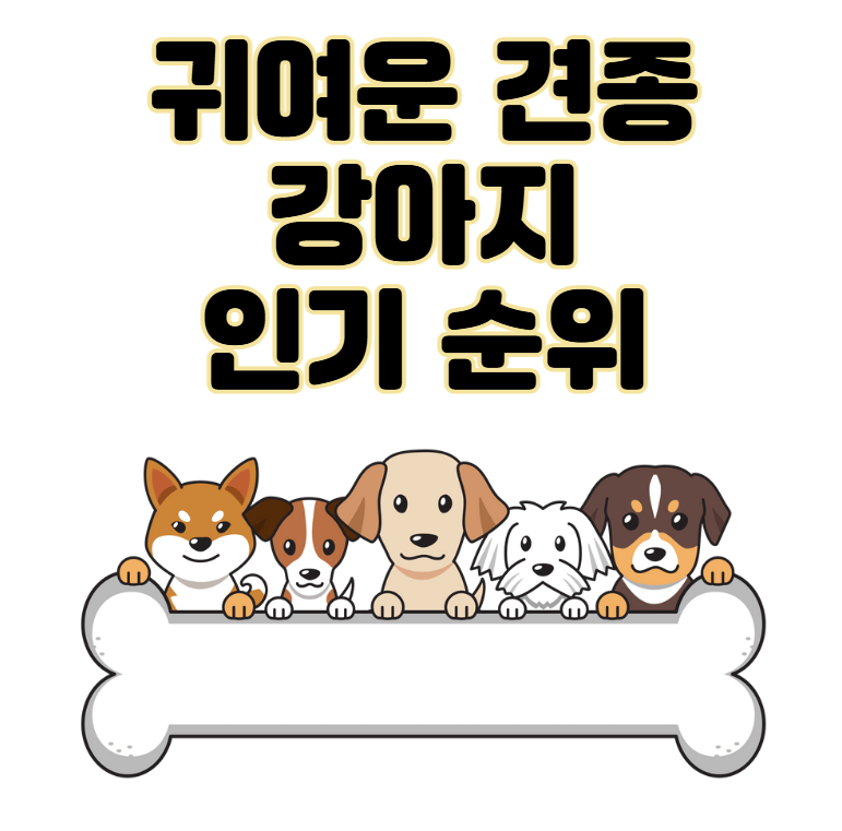 귀여운 견종 추천과 강아지 인기 순위